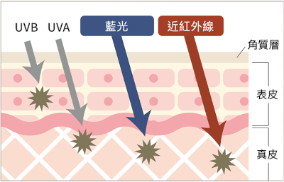 對抗紫外線和近紅外線、抗藍光、阻擋UVB和UVA