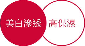 美白滲透 高保濕