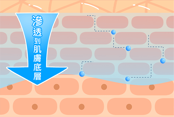 滲透到肌膚底層
