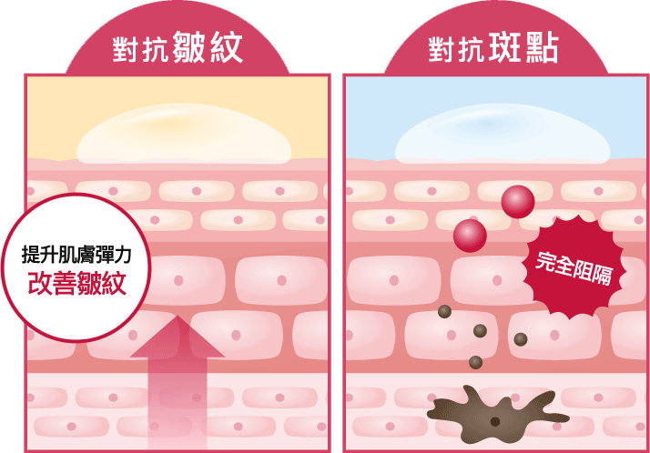 對抗皺紋 對抗斑點